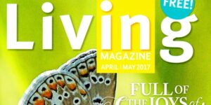Living Magazine – Featuring Artisan Central